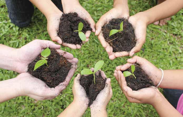 FACCIAMO L ORTO TERRICCIO UNIVERSALE VIVIVERDE 45L TELO DI PROTEZIONE PIANTE SERRA RIPIANI VASO IN PLASTICA DIAM.