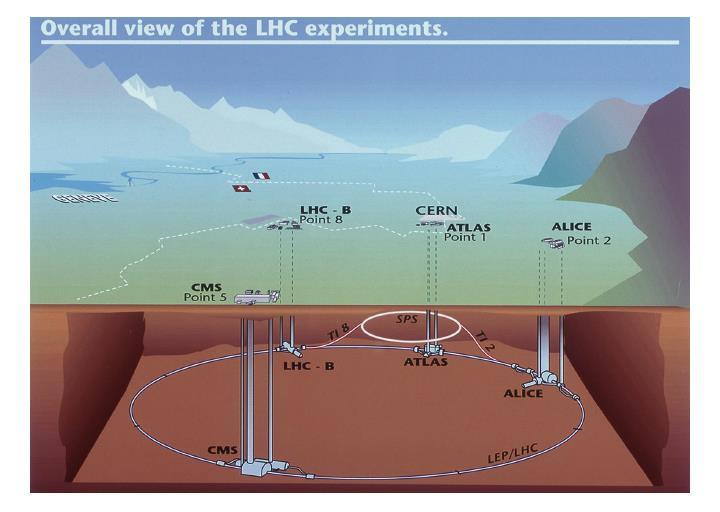 27 km di circonferenza Profondità media di 100 m Accelerazione di 2 fasci di protoni su traiettoria circolare, mediante magneti e cavità a radiofrequenze Fasci di protoni divisi in bunch