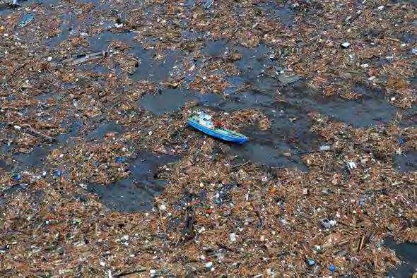 Garbage Patch South Atlantic Garbage