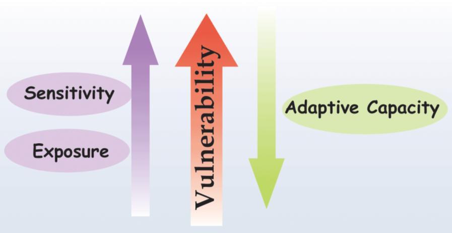 Climate forcing, constraints and options towards adaptation Climate forcing: reference vs.