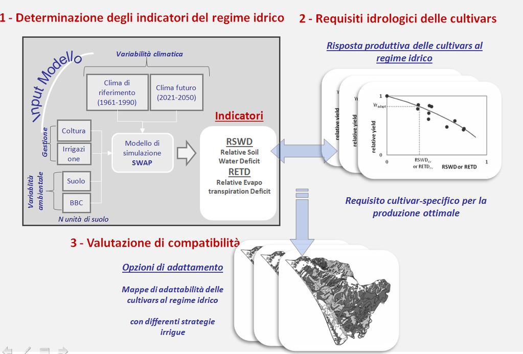 Identificazione opzioni di