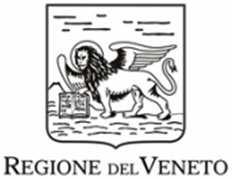 Verona dei vigneti colpiti da calamità naturale - evento grandinigeno del 06.08.2019 - Areale DOC Valpolicella.