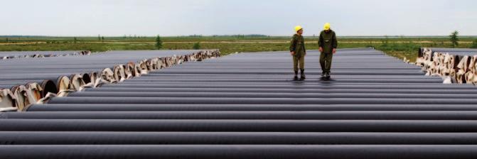 Scegliere il gas naturale per soddisfare la domanda di energia comporta semplicità di gestione, in termini di trasporto e utilizzo nel rispetto dell ambiente.