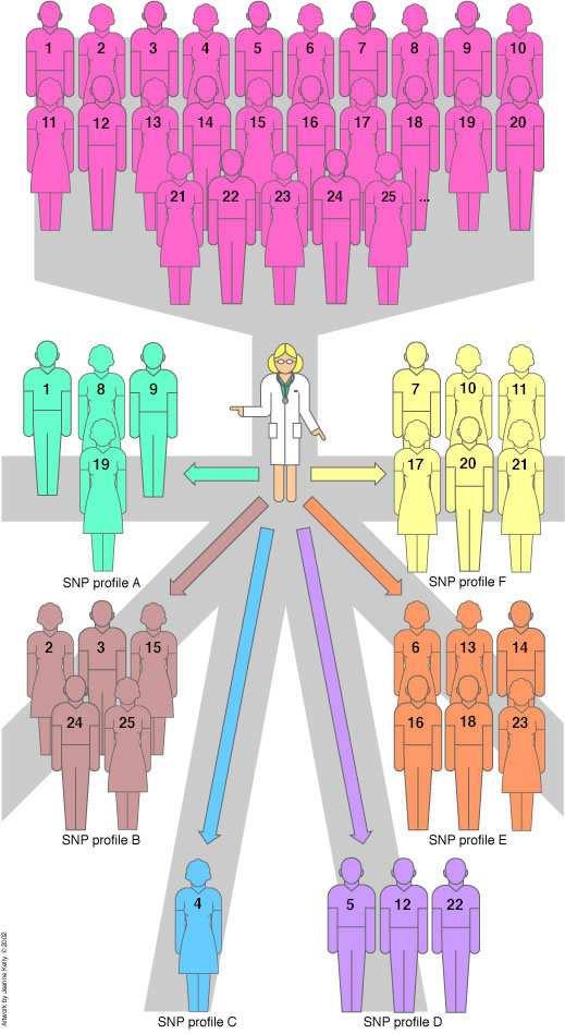 Individual SNP Profiles The genome of each individual contains its own pattern of SNPs.