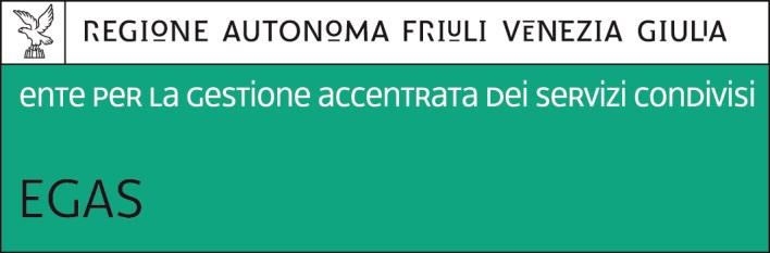 SEDE LEGALE: Udine - Via Pozzuolo 330 Centralino: +39 0432 554160 Fax: +39 0432 306241 C.F./P.IVA 02801630308 e mail: segreteria@egas.sanita.fvg.it - PEC:egas.protgen@certsanita.fvg.it Verbale n.