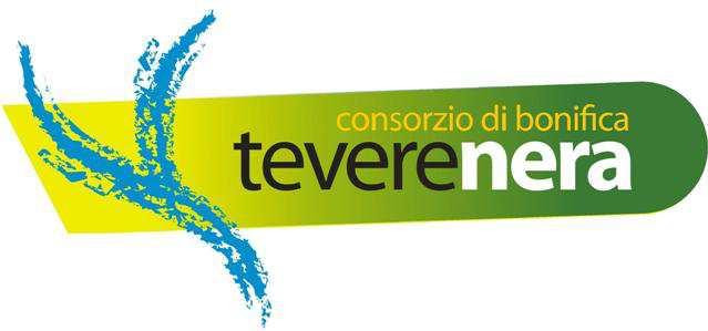 Registro delibere del Consiglio di Amministrazione ORIGINALE N. 4 OGGETTO: Approvazione indagine di mercato per la fornitura, mediane Agenzia di somministrazione di lavoro, di n.