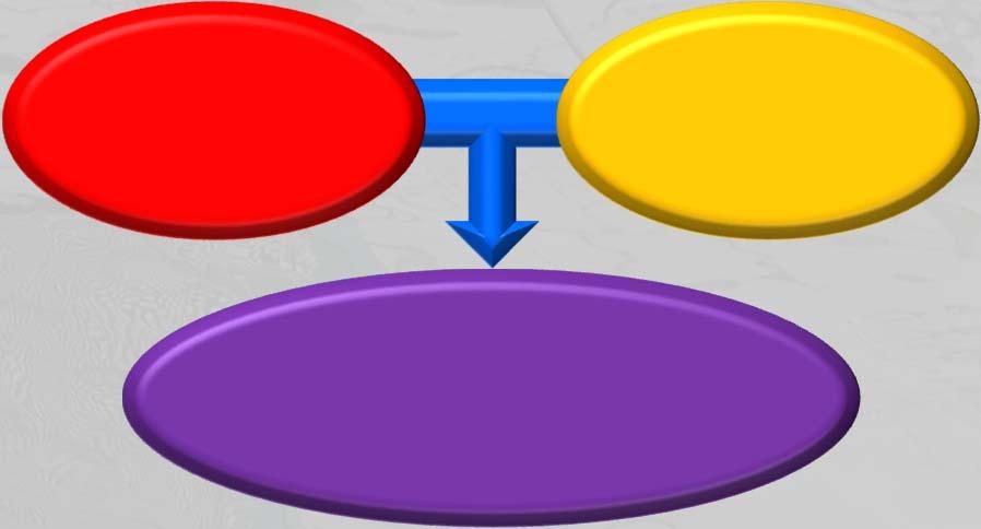 della qualità dei sedimenti Modulo