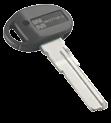 da 25 pezzi 1 chiave in aggiunta 1 chiave in detrazione Duplicazione chiave al campione Chiave non cifrata per pompa a cilindro CHAMPIONS C10. Conf.