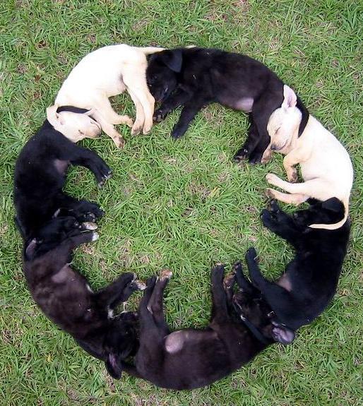 Circle