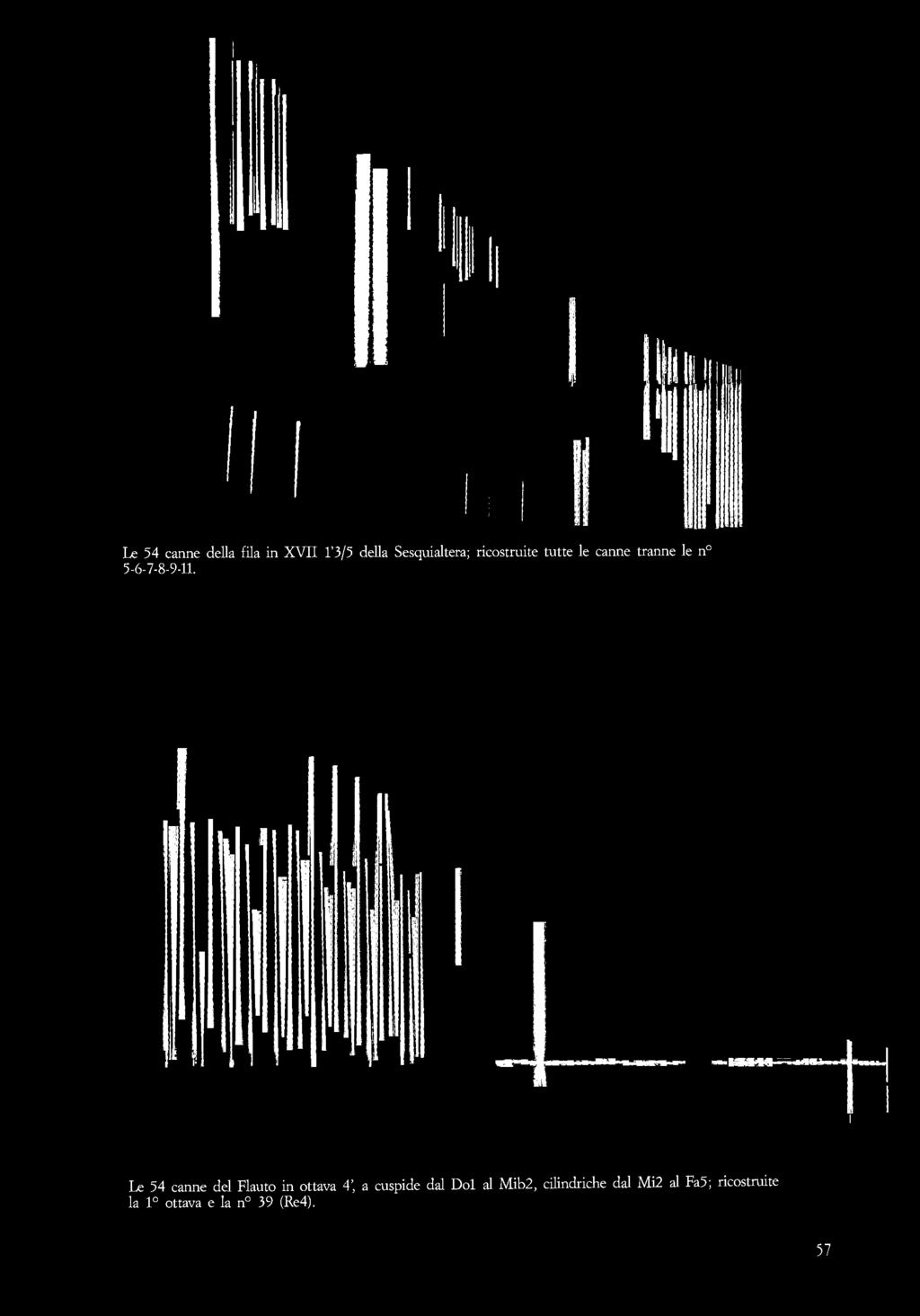Le 54 canne del Flauto in ottava 4\ a cuspide dal Dol al