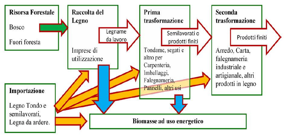 1. Analisi di mercato del legno 1.