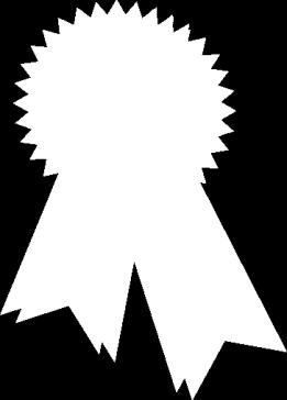 alto numero di vincitori di ER grants (>=1M ): 4 Starting grant, 1 Consolidated grant 1 Shannon Award, 1 Sloan fellowship, 1 Marie-Curie