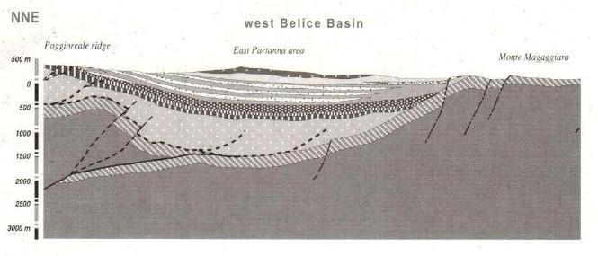 neogenici di tipo thrust top del Bacino del Belice mascherano una serie di thrusts ciechi sepolti che nell'interpretazione di MONACO et alii (1996) potrebbero essere responsabili del terremoto del