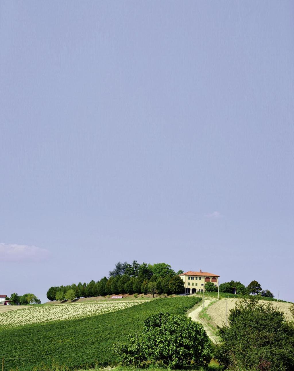 In apertura, vigneti dell azienda Montalbera; in questa pagina, una veduta della tenuta Bersano FOTO DI AZIENDA BERSANO tri nord est di Asti.