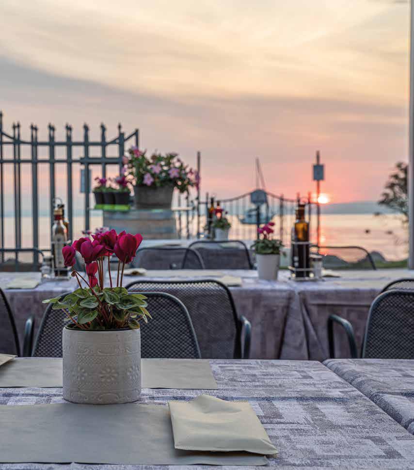 it Sul lago di Garda il rosé si chiama Chiaretto e il Chiaretto di Bardolino è il leader assoluto tra i vini rosa italiani. È un vino moderno, ma ha una storia antichissima.