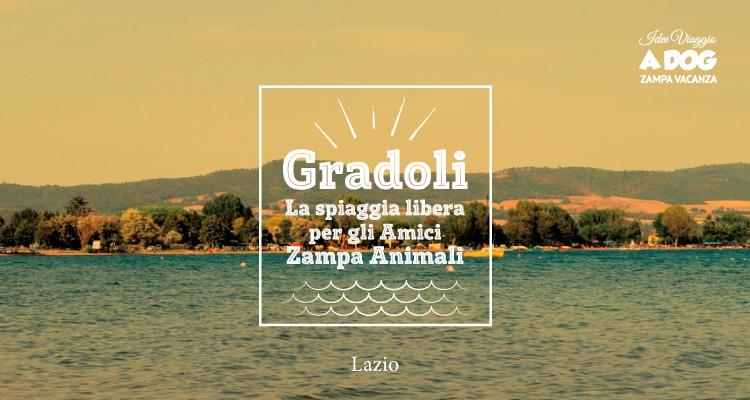 La spiaggia pet friendly di Gradoli Lazio - Natura Dista 24 km Se volete godervi una giornata di sole a bordo lago, allora dovete recarvi a Gradoli.