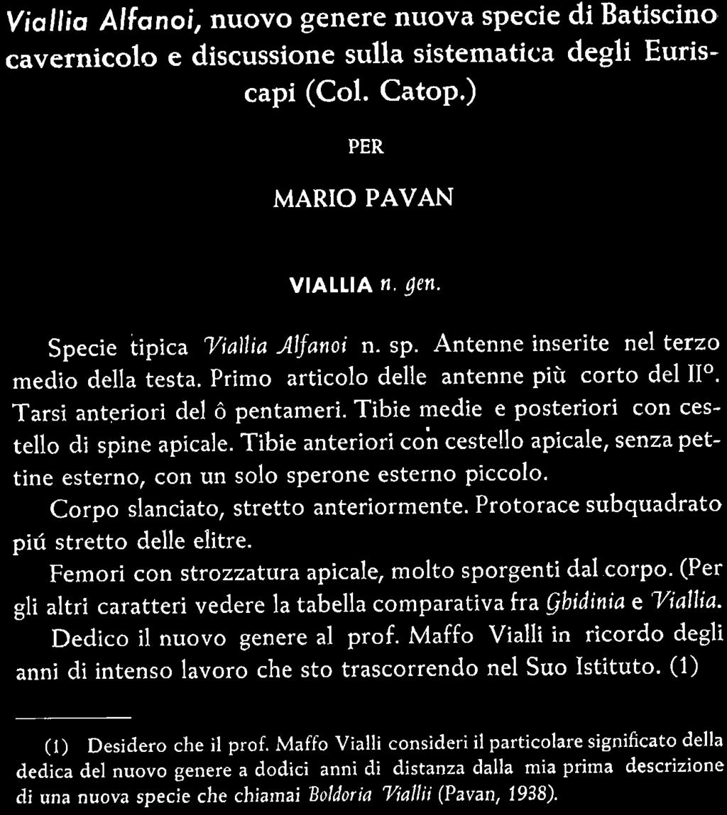 (Per gli altri caratteri vedere Ia i tabella compara tiva fra jhidinia e Viallia. r Y. 1,.