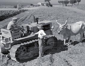 L azienda costruisce un grande AF8, potente ed affidabile adatto allo scasso di terreni per piantare vigneti ed attrezzato per movimento terra.