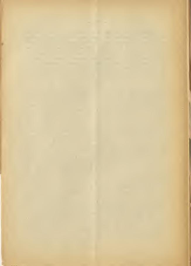 193 sarà da leggere quasi certamente Murèr, die viene a dire, venezianamente: «muratore»: così come è ben noto essere del tutto veneti Stringhèr, Benièr ed altri somiglianti.