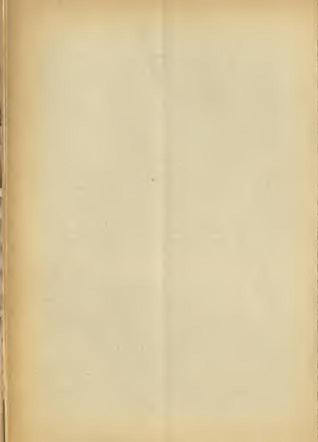 190 Ameno', TDaélli per da-ello (donde aasai probabilmente il cognome Redaellv. un centinaio nel mio elenco) (1); o la preposizione in, come Imbonati (de Imbonate nel 1388; da Sonate, Bergamo).