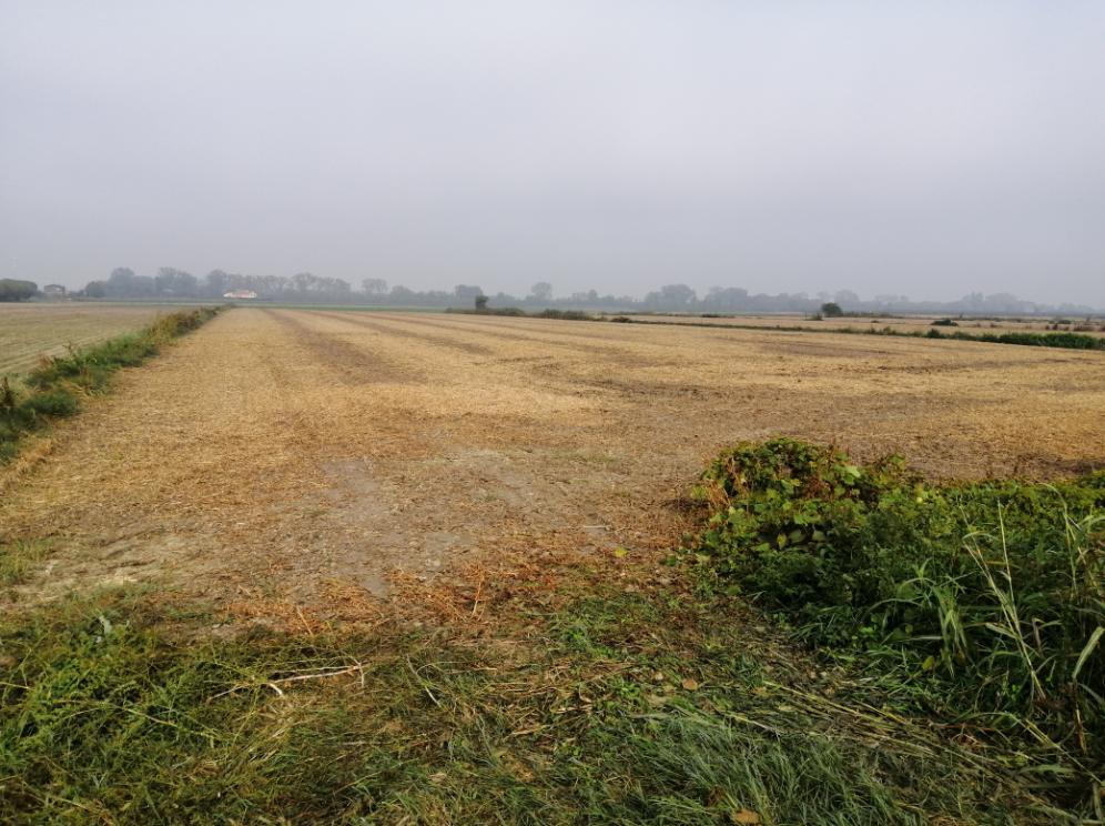 Dettaglio di un'area con utilizzo del suolo