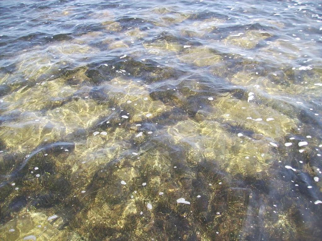 Laguna di Mistras: