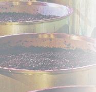 La vinificazione Al processo di ammostatura segue il procedimento di vinificazione, che si svolge in cantina e varia a seconda del tipo di vino che si intende produrre.