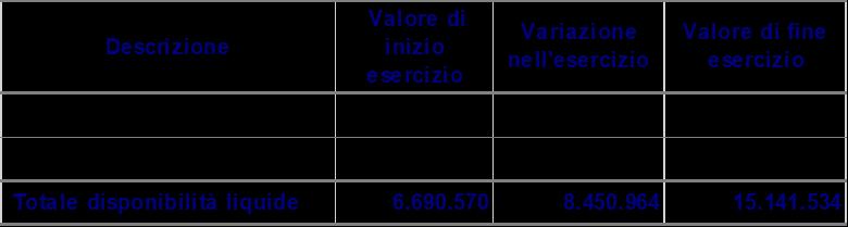 investimento di liquidità effettuato nell anno