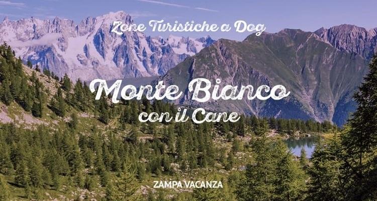 Monte Bianco Visitare la zona del Monte Bianco con il cane sarà un'esperienza bellissima da vivere con i vostri amici a quattrozampe.