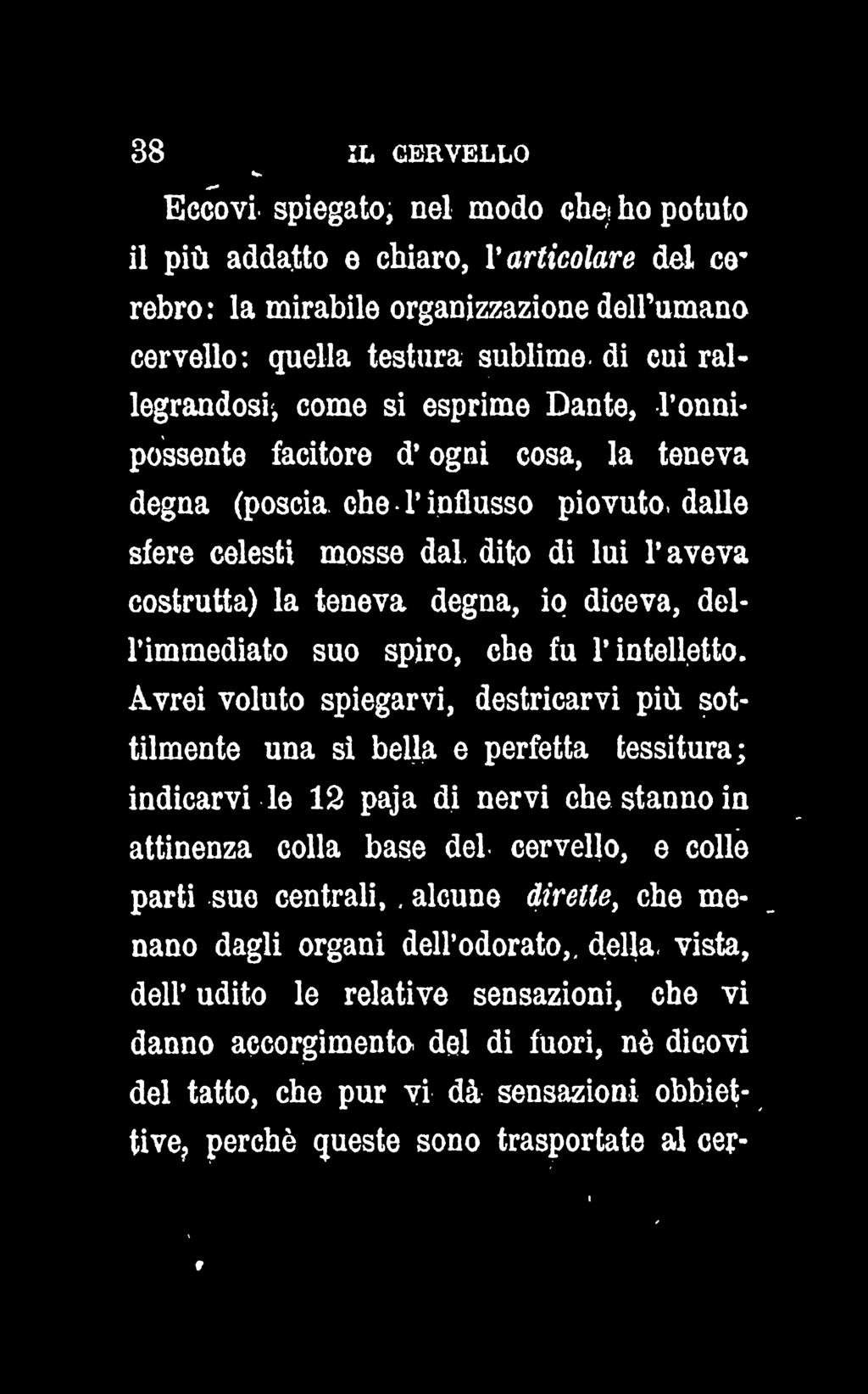 38 IL CERVELLO Eccovi spiegato, nel modo che* ho potuto il più addatto e chiaro, V articolare del ce* rebro : la mirabile organizzazione dell umano cervello: quella testura sublime di cui