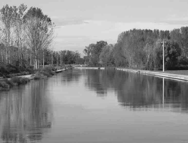 La civiltà dell acqua nel Lodigiano 23 Particolare del canale Muzza, un opera di impeccabile ingegneria idraulica che da ottocento anni fornisce acqua all intero Lodigiano pergamene non ci sono più,