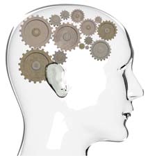 Funzioni cognitive Quando si parla della sfera cognitiva ci si riferisce a quell insieme di funzioni memoria, attenzione, percezione, linguaggio, ecc... coordinate dal cervello.