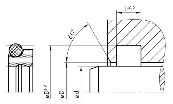 AD 61 Famiglia prodotto Raschiatore Forma costruttiva D doppio effetto Numero profilo 61 Materiale PTFE 00 9807 raschiatore Materiale NBR 70 0100 O-Ring Temperatura ( C): -30 +100 Velocità di