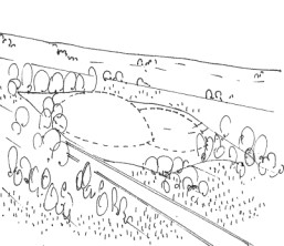 COMPONENTE NATURALE del PAESAGGIO Figura 16 Integrazione dei rilevati con la morfologia dei luoghi e con la vegetazione circostante La preparazione del sito comporta ingenti movimenti di terra, che