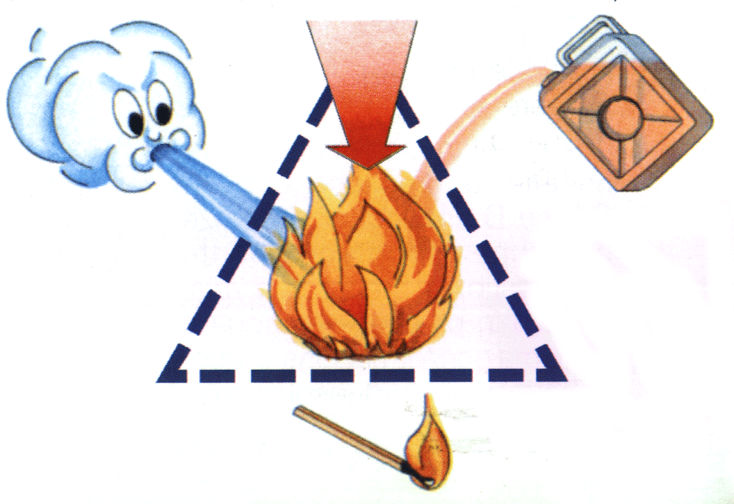 1 L INCENDIO E LA PREVENZIONE INCENDI 1.1 L INCENDIO 1.1.1 Principi della combustione La combustione è una reazione chimica sufficientemente rapida che avviene tra una sostanza combustibile ed una