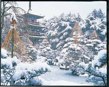 L'INVERNO la stagione con tutti i piaceri della neve Ad eccezione dell'estremo nord, in Giappone gli inverni non sono particolarmente rigidi e spesso il freddo è lenito da un meraviglioso sole