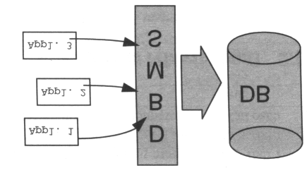 Figura 1.2 Approccio file system Figura 1.3 Approccio DBMS 1.