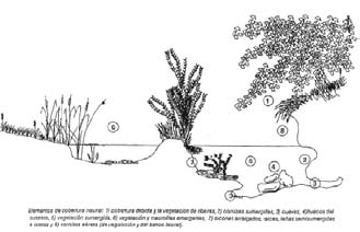 Capitolo 7 Impatto ambientale e sua mitigazione ESHA 2007 ghiaia sul letto del fiume per migliorare il substrato, il rafforzamento delle sponde attraverso l impianto di arbusti per contrastare