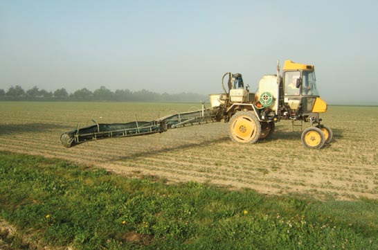 Pianificazione dei trattamenti e preparazione della miscela B. porzione di campo coltivato non trattato confinante con il corpo idrico o con l area sensibile da proteggere; C.