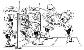 Il gioco consiste nel recuperare velocemente i palloni che cadono nel proprio campo e rinviarli in quello avversario passando sopra la rete e colpendoli in varie maniere.
