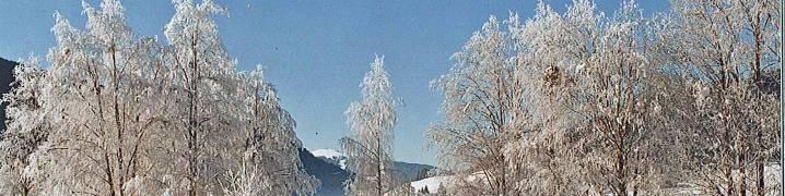 percorrono ancora alcuni metri per arrivare sulla destra, prima del sottopassaggio, sulla pista ciclabile.