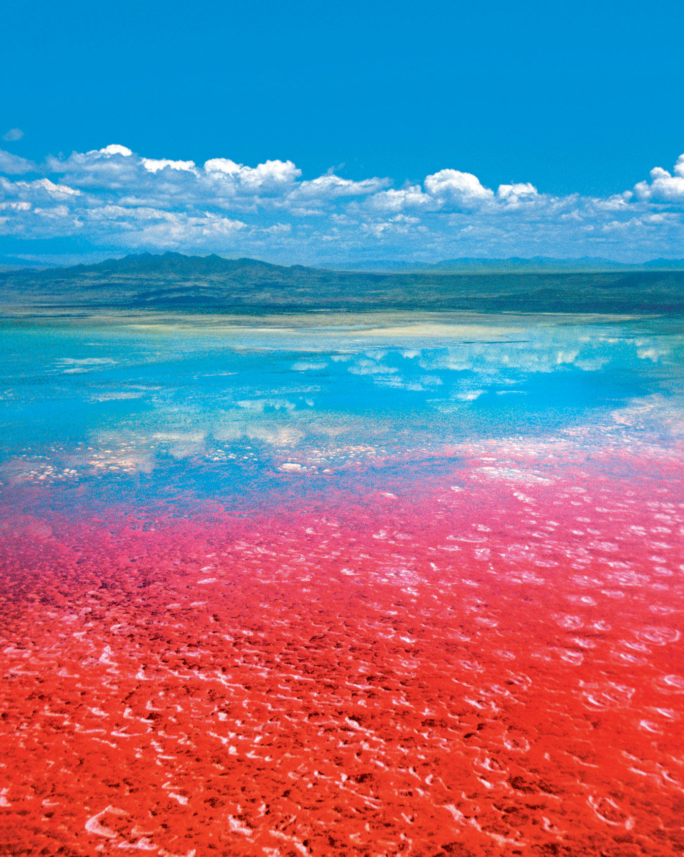 . Conoscenze di base per le Scienze della Terra Il Lago Natron è un lago salino che si trova in Tanzania.