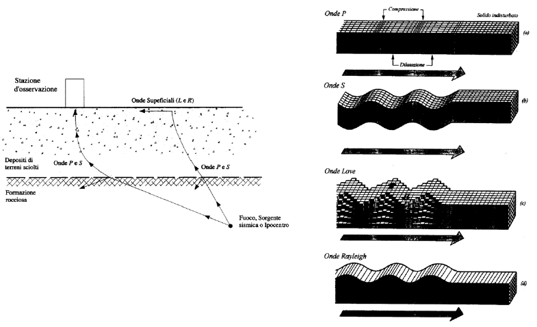 La rottura della crosta terrestre determina delle onde sismiche di differenti tipologie: Le onde P (di compressione o primae) viaggiano nel sottosuolo ad una velocità di circa 1,7 volte la velocità