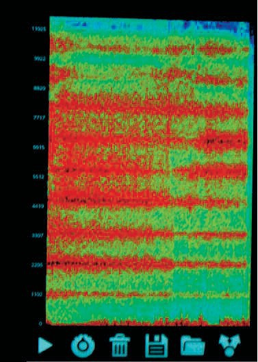 5 Figura 3. Spettrogramma frequenze della cannuccia aperta ad entrambe le estremità. In verticale abbiamo le frequenze (in Hz) e in orizzontale il tempo. Le frequenze equispaziate sono ben visibili.