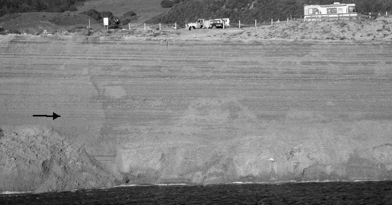 2.4 Strutture Sedimentarie tipiche Stratificazione da spiaggia (Scott Creek Beach (CA, USA) Nella foto si può notare come la stratificazione dei sedimenti di spiaggia sia parallela all orientazione