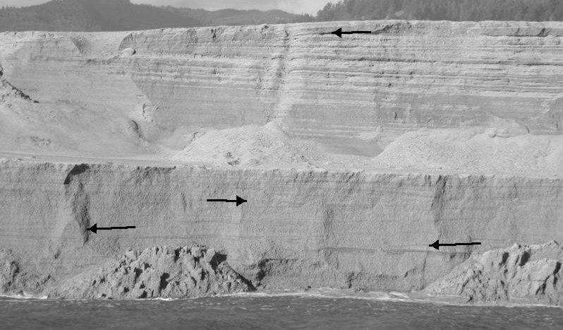 2.4 Strutture Sedimentarie tipiche Stratificazione da spiaggia (Scott Creek Beach (CA, USA) Questa esposizione dei sedimenti di spiaggia stratificati è approssimativamente