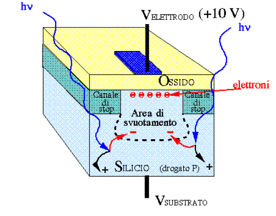 queste condizioni, e quindi le cariche negative si accumulano nella buca e sono libere di diffondere nel silicio diventando cariche utili per la costituzione del segnale (figura.18).