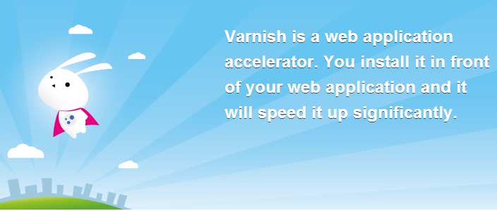 Varnish web cache Varnish è