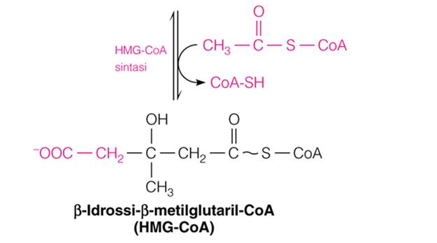 2 molecole di Acetil-CoA