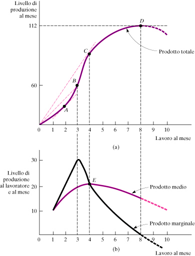 Produzione con un solo fattore produttivo variabile (lavoro): la pendenza della curva del prodotto PM L = pendenza della retta dall'origine ad un punto sulla curva del PT, es.